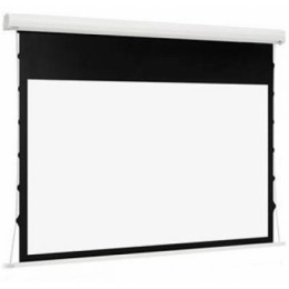 Euroscreen Diplomat Electric HDTV (16:9) 270*180cm Экран