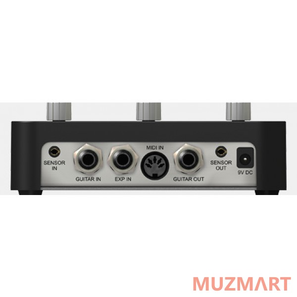 Source Audio SA141 басовый дисторшн нового поколения. Pro версия