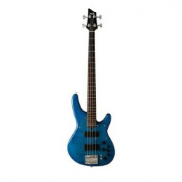 FGN Expert Director EDR-4R/ FM/ TKS Бас-гитара