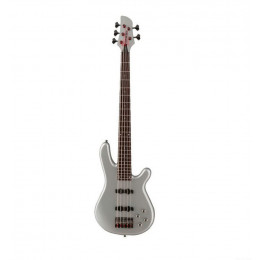 Fernandes Guitars G5D(08)PTR 5-струнная бас-гитара