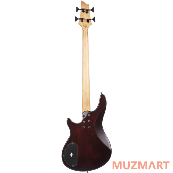 Schecter SGR C-4 Bass WSN Бас-гитара