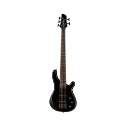 Fernandes Guitars G5X08 BLK Пятиструнная бас-гитара