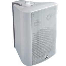 Direct Power Technology WL-140W Акустическая система