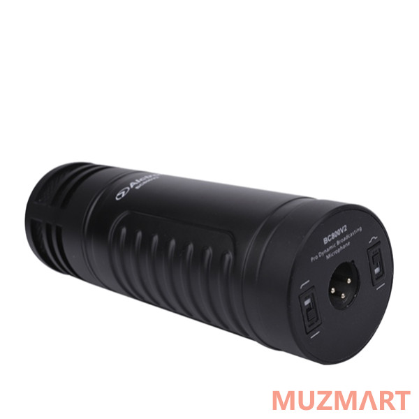 Alctron BC800V2 Микрофон динамический