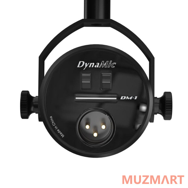 Icon DynaMic Студийный микрофон