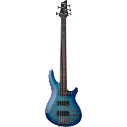 Schecter C-5 PLUS OBB бас-гитара