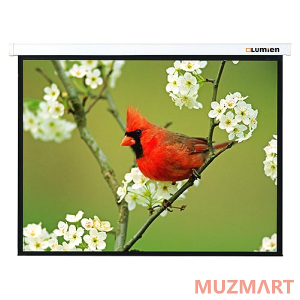 Lumien Master Picture (LMP-100108) Matte White Fiberglass Проекционный экран 128х171