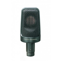 Audio-Technica AE3000 Инструментальный микрофон