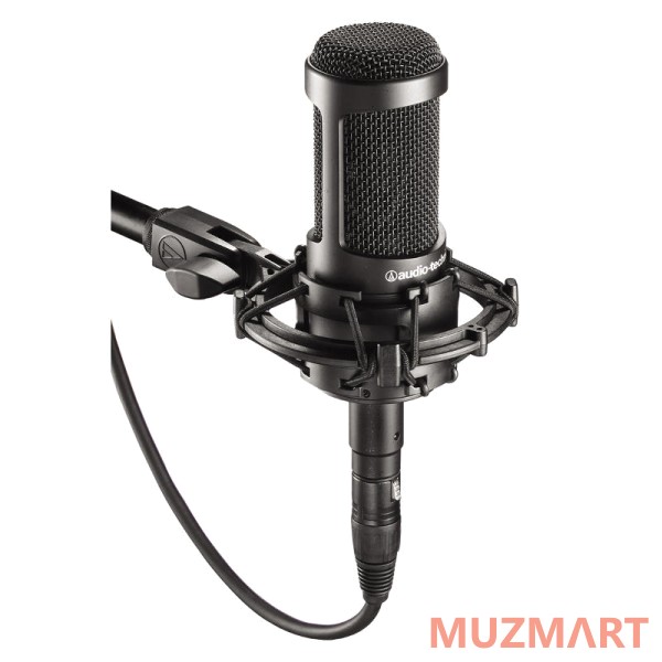 Audio-Technica AT2035 Студийный микрофон
