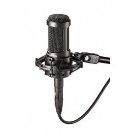 Audio-Technica AT2050 Студийный микрофон