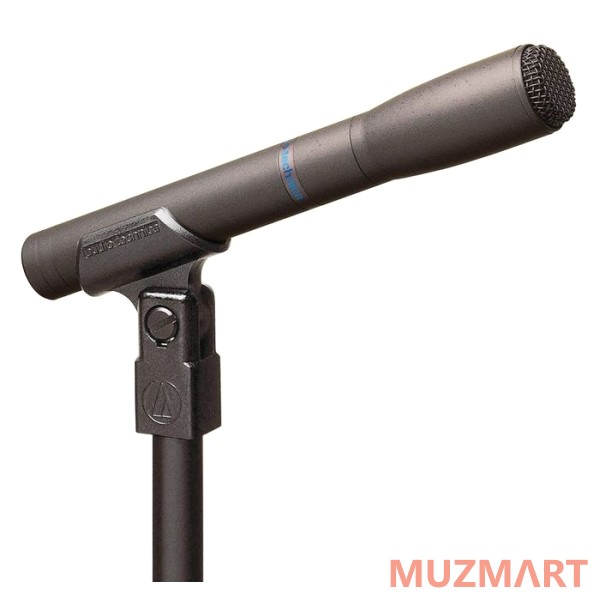 Audio-Technica AT8010 Репортажный микрофон