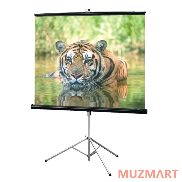 Draper Consul AV (1:1) 70/70" 178*178 XT1000E (MW) Мобильный экран
