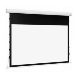 Euroscreen One Electric Video (4:3) 180*170cm (VA170*127,5cm) GreyLight case mattAlu Экран с электроприводом