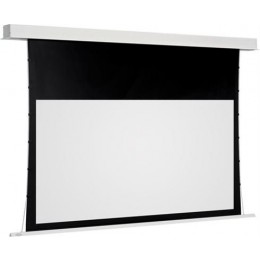 Euroscreen Sesame Electric Video (4:3) 220*195cm (VA210*157,5) TabT Flexwhite case white Экран с электроприводом