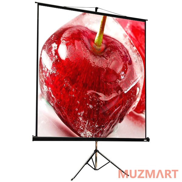 ViewScreen Clamp Pro (1:1) 213*213 (205*205) MW Мобильный проекционный экран